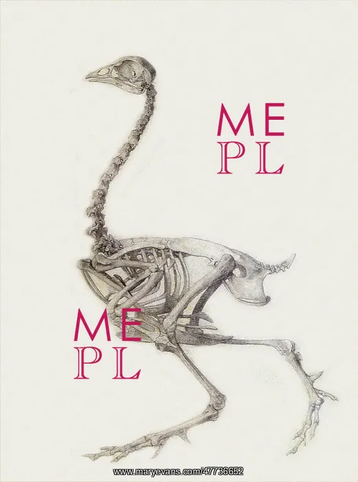  : Fowl Skeleton, Lateral View, by Stubbs