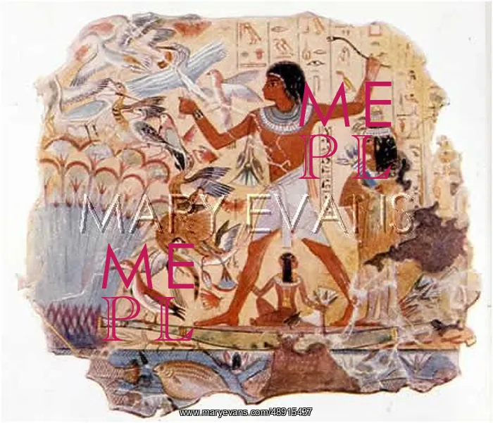 : FOWLING IN EGYPT : FOWLING IN EGYPT