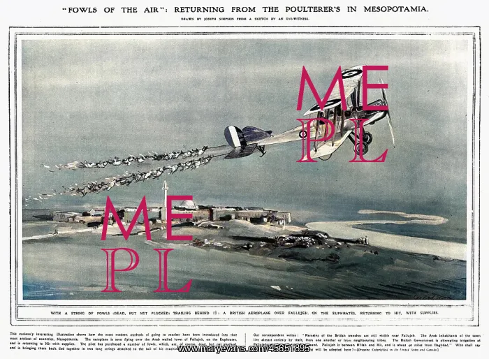 : Fowls of the Air : Fowls of the Air