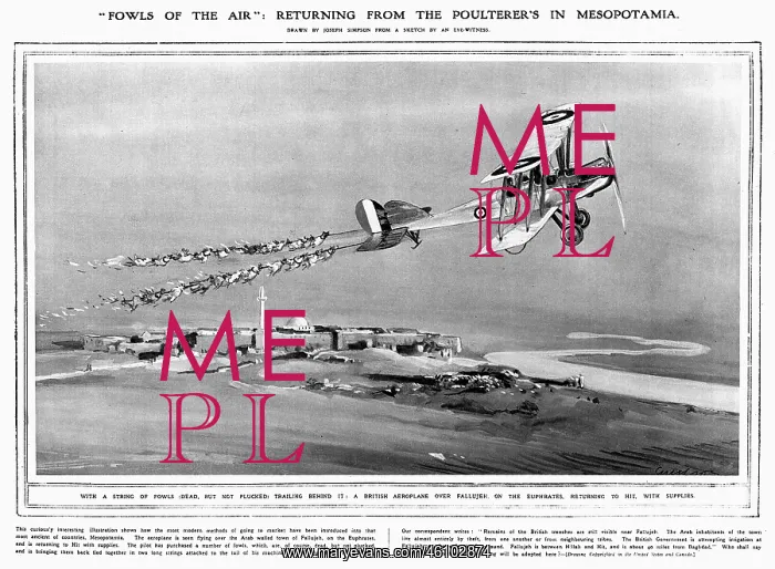 : Fowls of the Air : Fowls of the Air