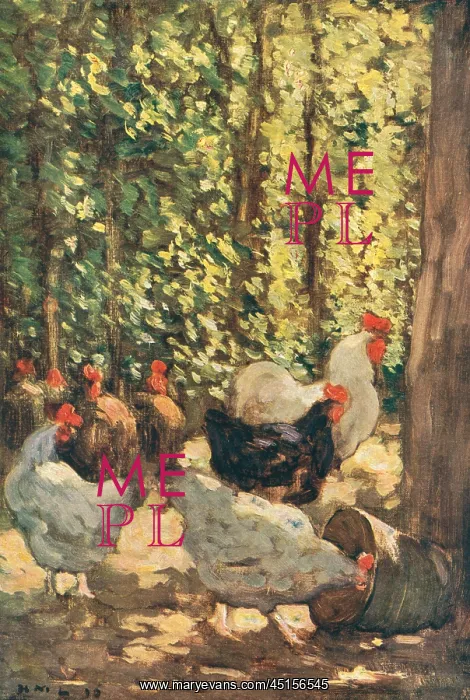 : Fowls In Sunlight : Fowls In Sunlight
