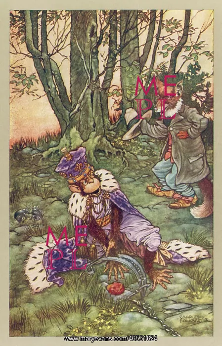 : FOX AND APE : FOX AND APE
