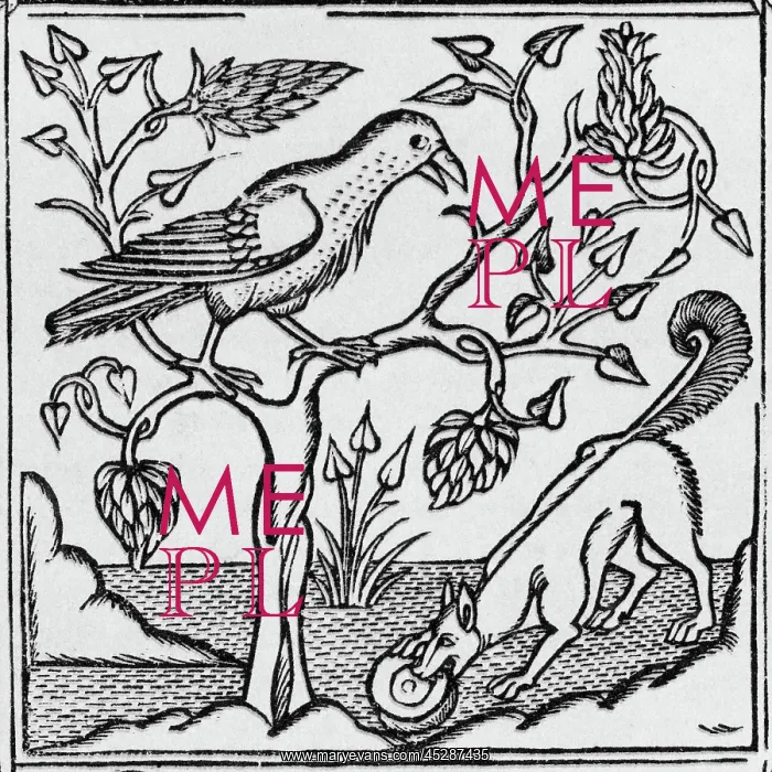  : The fox & the crow