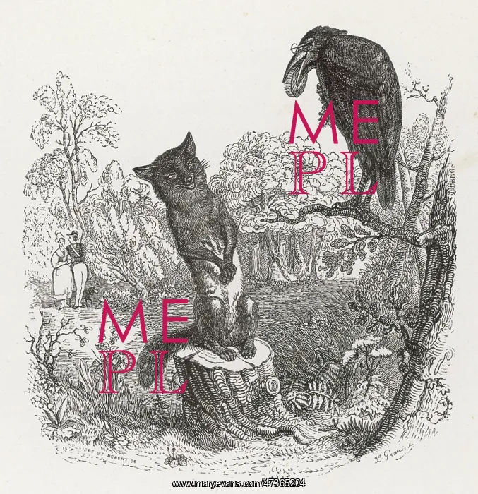 : The Fox and the Crow : The Fox and the Crow