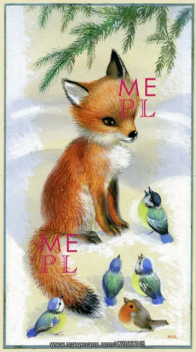 : Fox cub, blue tits and robin in the snow : Fox cub, blue tits and robin in the snow
