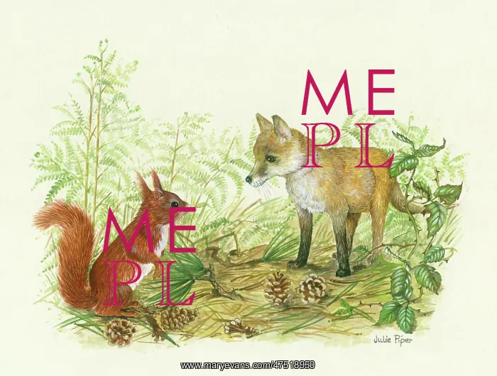 : Fox cub surprising a red squirrel : Fox cub surprising a red squirrel