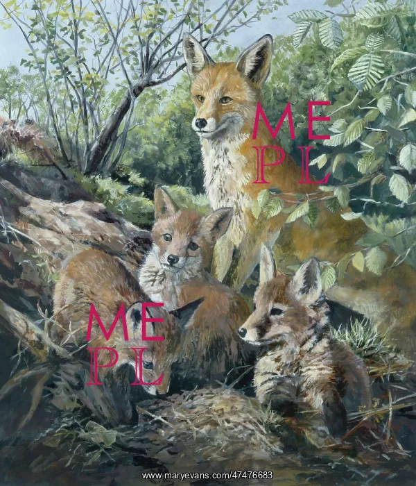  : Fox and three cubs