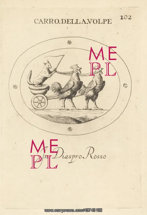 : A fox driving a chariot drawn by two roosters : A fox driving a chariot drawn by two roosters