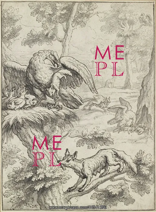 : The Fox and the Eagle : The Fox and the Eagle