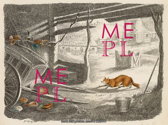 : FOX IN FARMYARD C1870 : FOX IN FARMYARD C1870