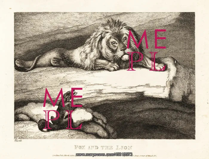 : A fox foolishly approaching a male lion in his den : A fox foolishly approaching a male lion in his den
