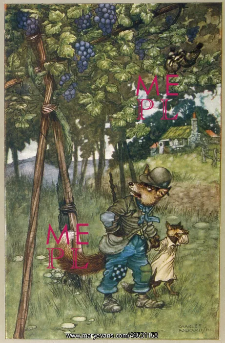  : FOX AND GRAPES