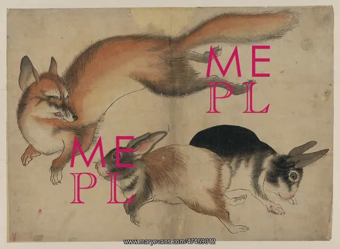  : Fox and two hares