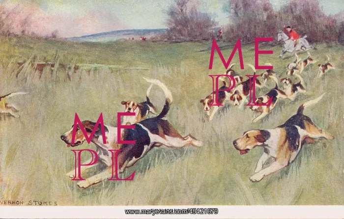 : Fox Hounds : Fox Hounds
