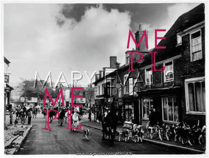 : FOX HUNT MEET IN TOWN : FOX HUNT MEET IN TOWN