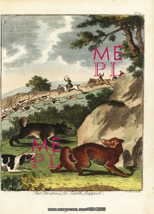 : Fox hunting, 18th century : Fox hunting, 18th century