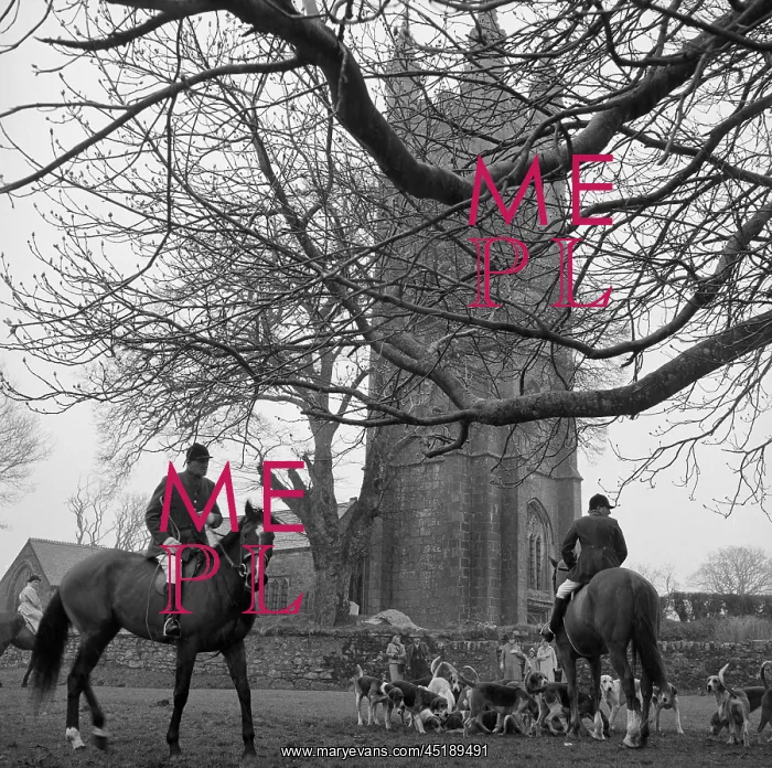 : Fox Hunting : Fox Hunting