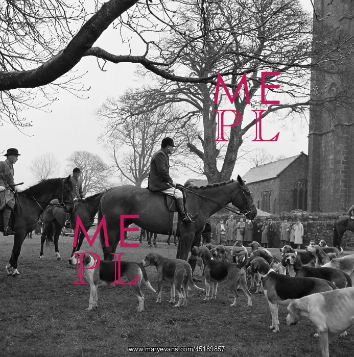 : Fox Hunting : Fox Hunting
