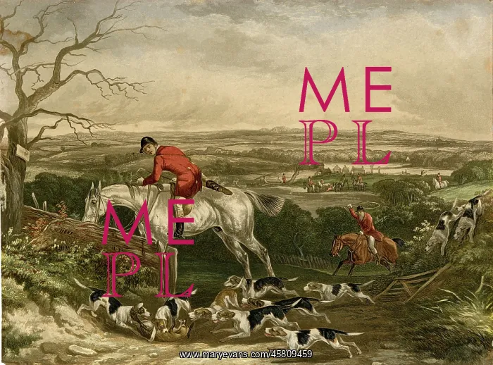  : Fox hunting