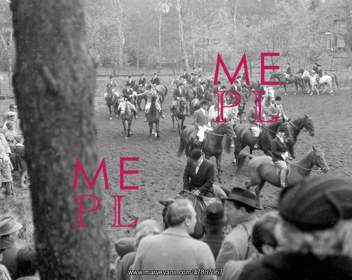 : Fox hunting : Fox hunting