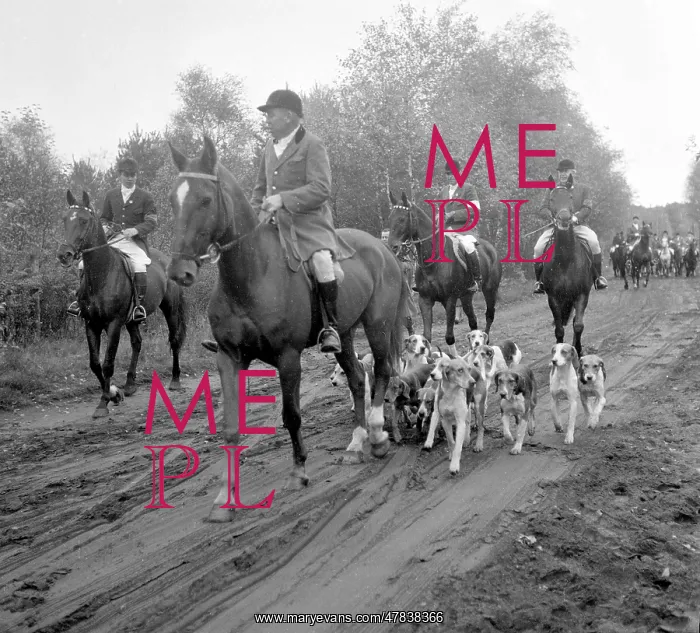 : Fox hunting : Fox hunting