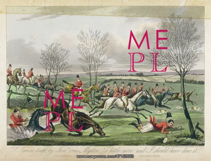: FOX HUNTING / ACCIDENT : FOX HUNTING / ACCIDENT