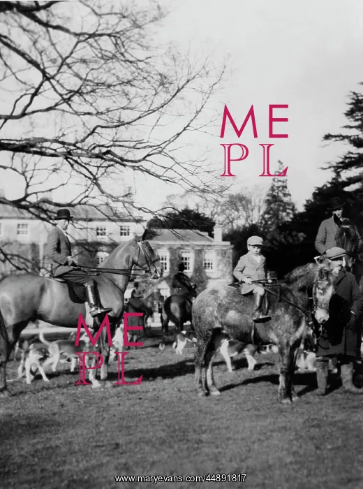 : FOX MEET 1930S : FOX MEET 1930S