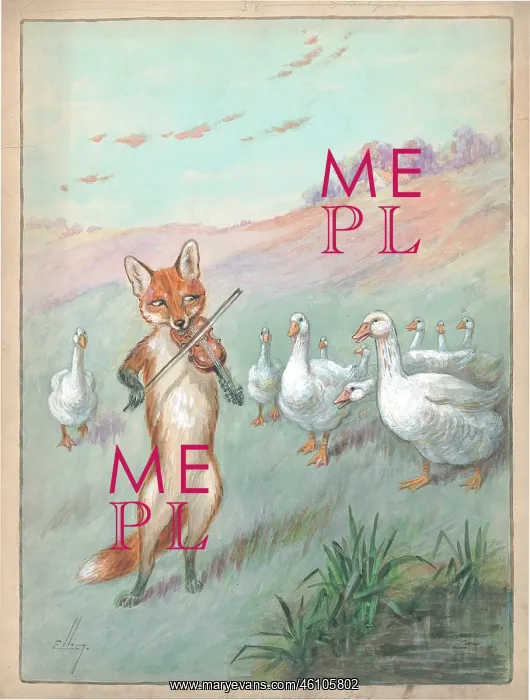 : Fox playing the violin to geece : Fox playing the violin to geece