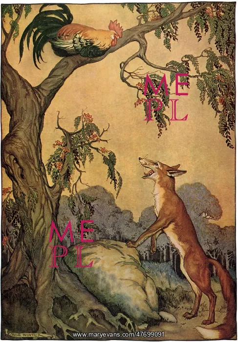  : Fox and Rooster in Tree