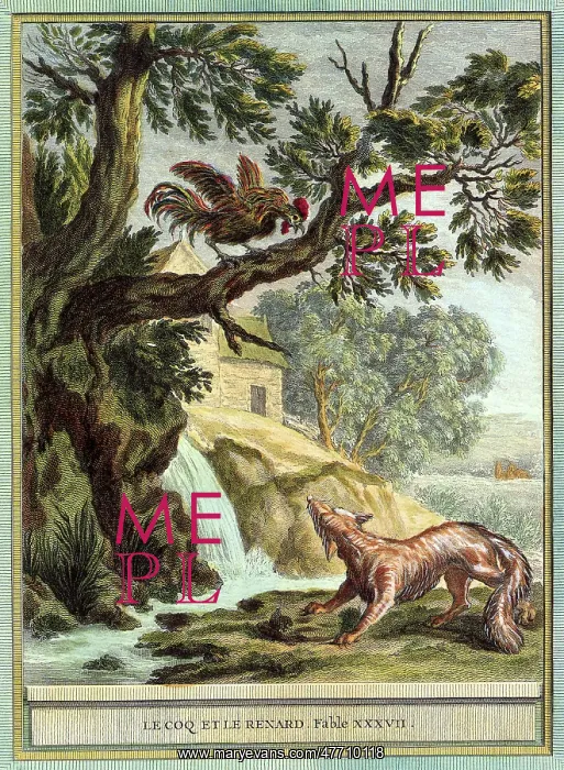  : Fox and Rooster in Tree