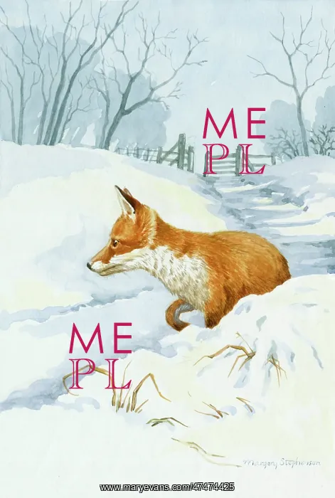  : Fox in Snow
