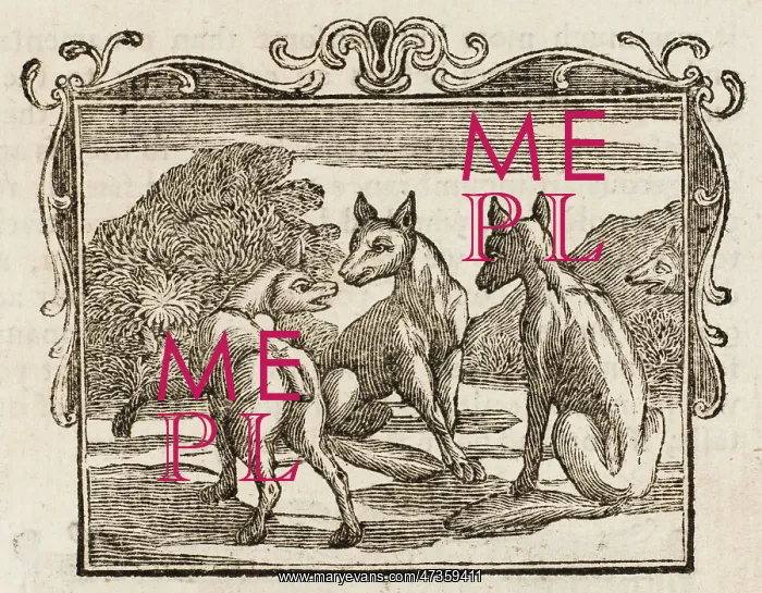 : The Fox Without a Tail : The Fox Without a Tail