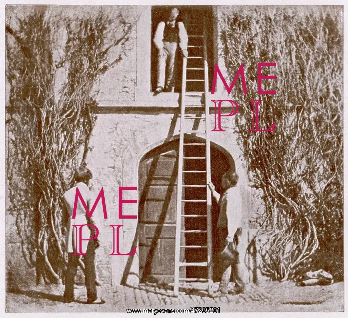 : FOX TALBOT PHOTO : FOX TALBOT PHOTO