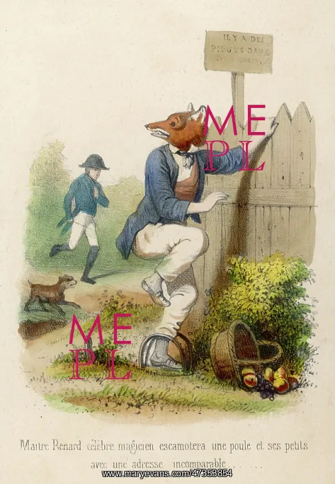 : FOX IN A TRAP : FOX IN A TRAP