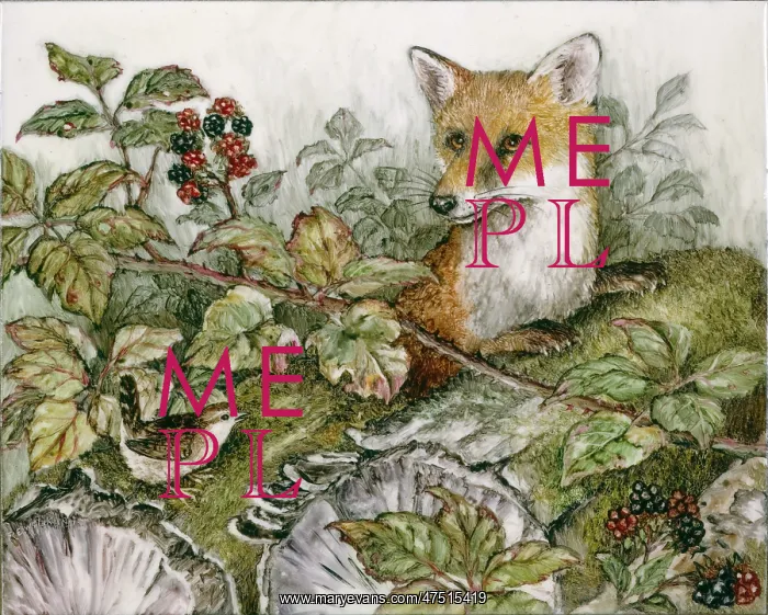 : Fox and wren with a blackberry bush