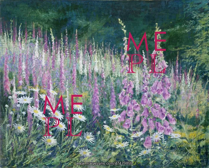 : Foxglove Meadow 'with daisies : Foxglove Meadow 'with daisies