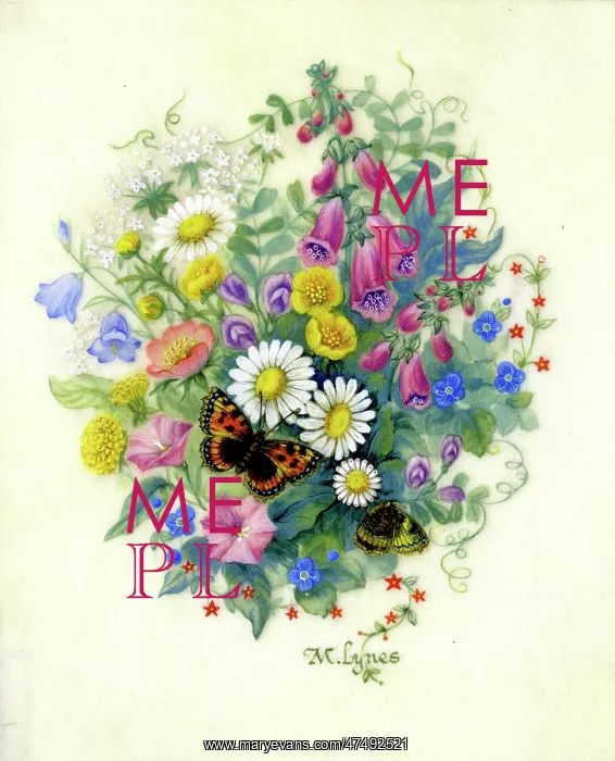: Foxgloves, daisies, harebells and butterflies : Foxgloves, daisies, harebells and butterflies