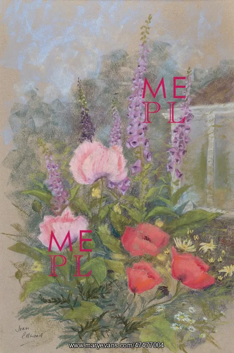  : Foxgloves and Pink and Red Poppies