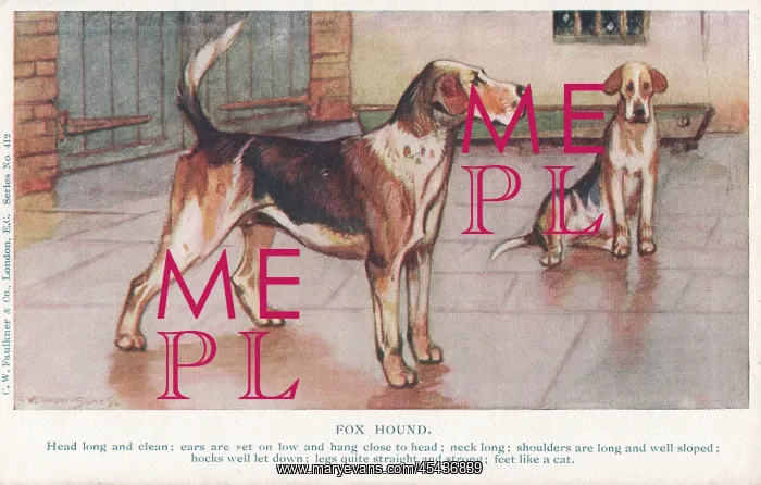 : Foxhound. Painting of two foxhounds in a yard. Artist: George Vernon Stokes : Foxhound. Painting of two foxhounds in a yard. Artist: George Vernon Stokes