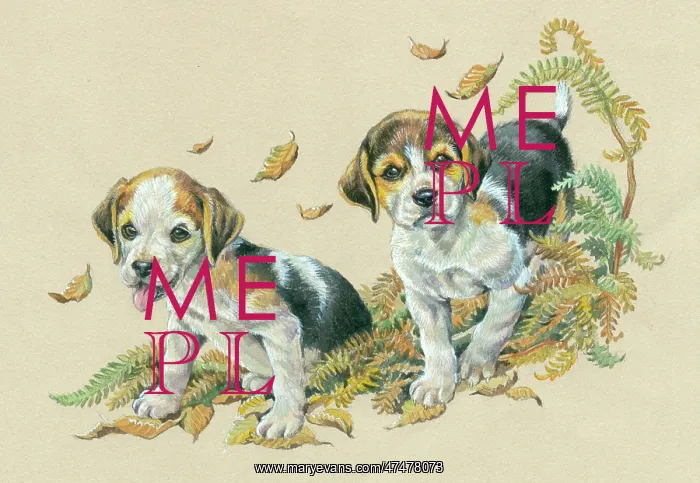  : Two Foxhound Puppies with autumn leaves
