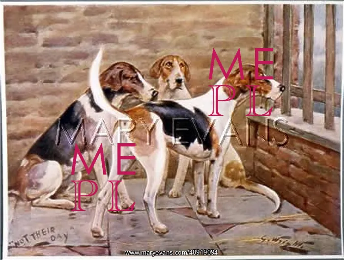  : THREE FOXHOUNDS