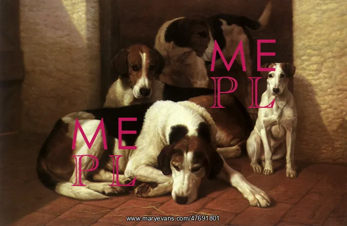  : Foxhounds and a Terrier