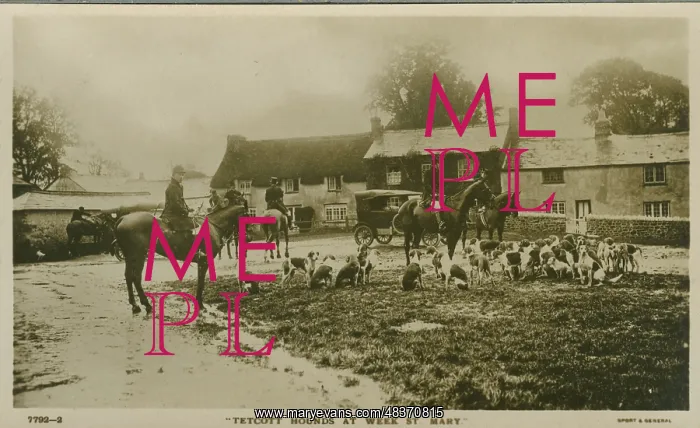 : Foxhunt Meeting : Foxhunt Meeting