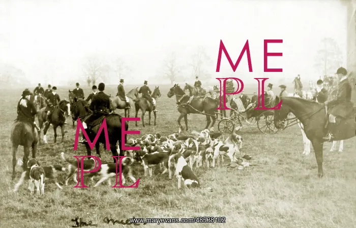  : Foxhunting