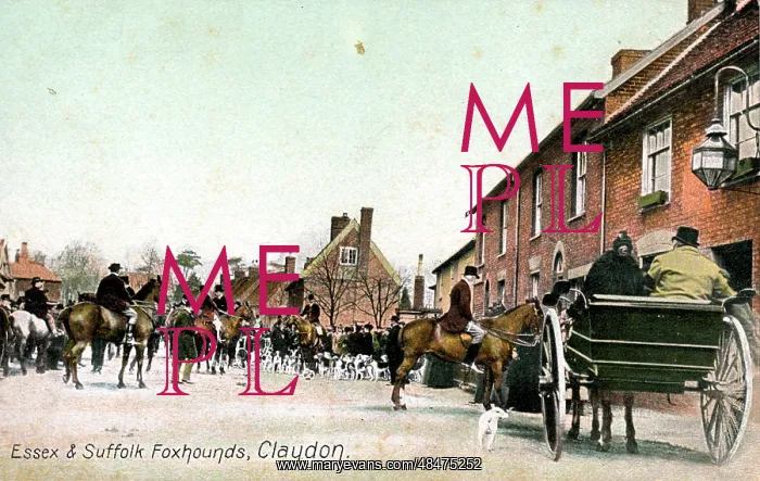 : Foxhunting, Claydon, Suffolk : Foxhunting, Claydon, Suffolk