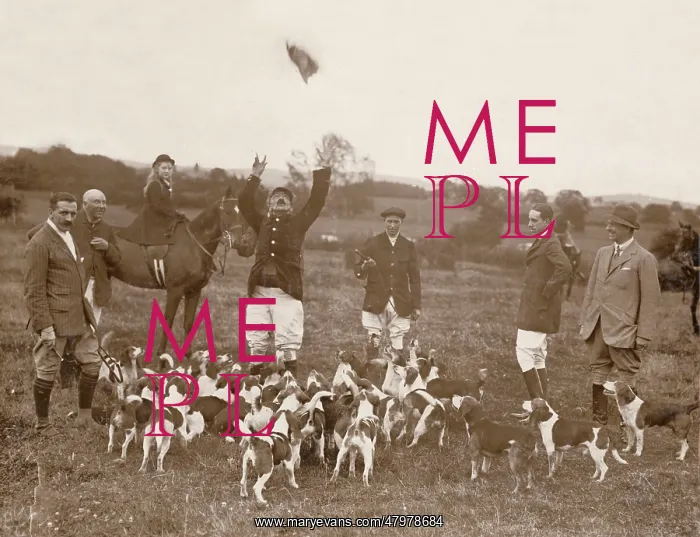  : Foxhunting group with hounds