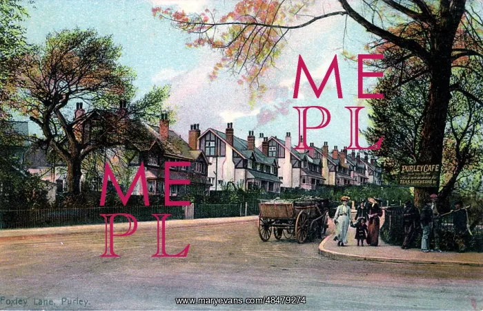 : Foxley Lane, Purley, Surrey : Foxley Lane, Purley, Surrey