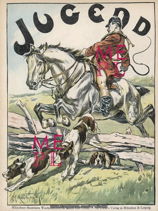  : FOXS HUNT. Gentleman on a grey horse takes a fence