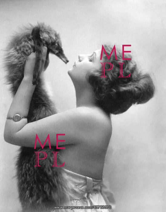  : Foxy lady