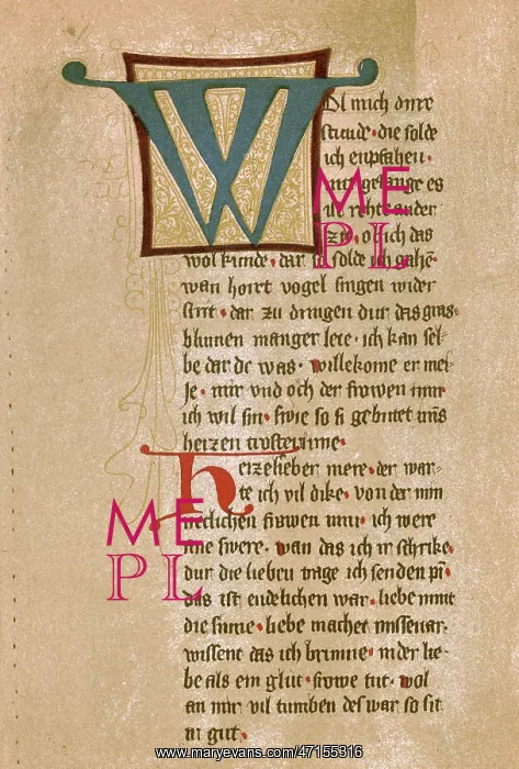 : Fragment of a Minnesinger manuscript : Fragment of a Minnesinger manuscript